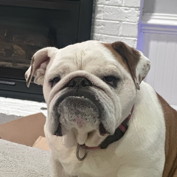 Shipping Label - Picture 4 of 4